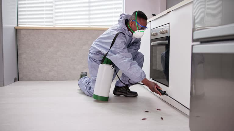 Reliable Higginsville, MO Pest Control Solutions